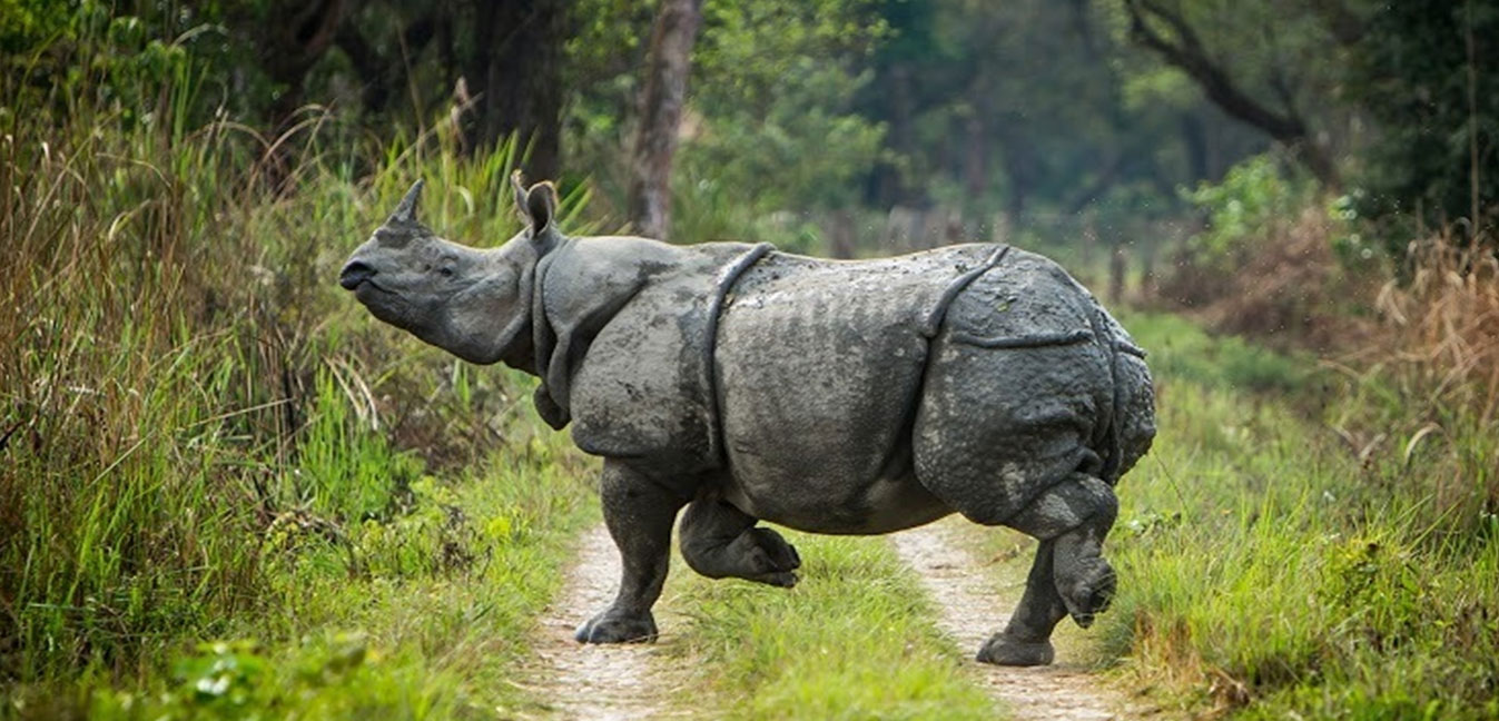 Chitwan National Park
